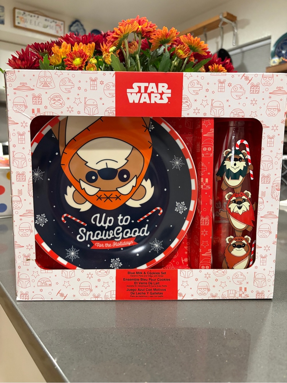 Star Wars Ewok Holiday Plate & Glass Set